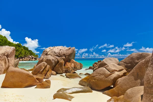 Tropisch strand op de Seychellen — Stockfoto