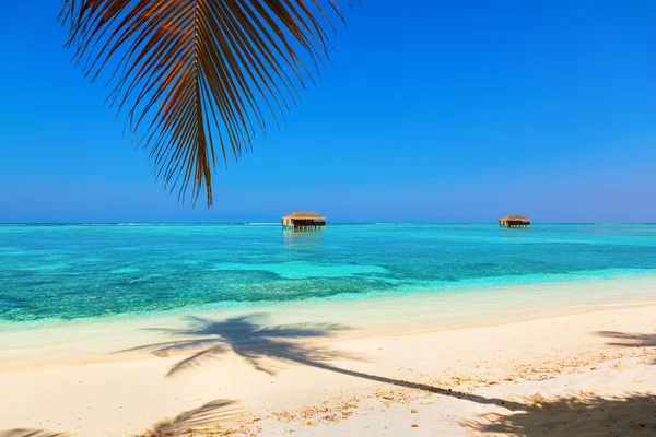 Maldives tropicales île — Photo
