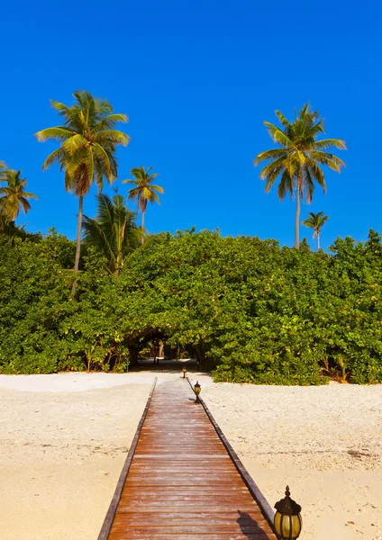 Ilha das maldivas tropicais — Fotografia de Stock