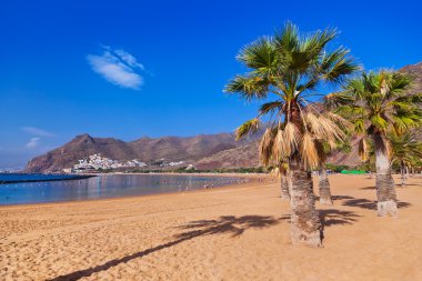Beach Teresitas in Tenerife - Canary Islands clipart