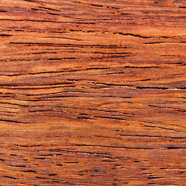 Wood background — Stock Photo, Image