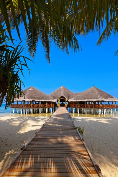 A trópusi Maldív-szigetek sziget Cafe — Stock Fotó
