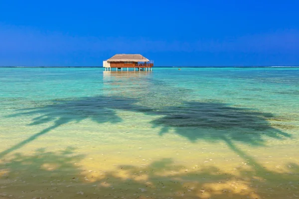 Ilha das maldivas tropicais — Fotografia de Stock