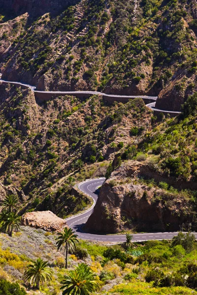 Estrada na ilha de La Gomera - Canário — Fotografia de Stock