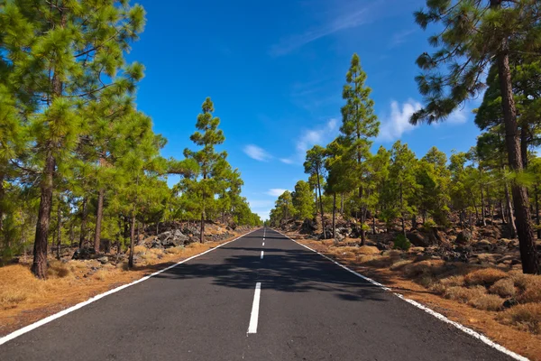 Estrada para o vulcão Teide na ilha de Tenerife - Canário — Fotografia de Stock