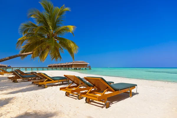 Reposeras en la playa de Maldivas — Foto de Stock