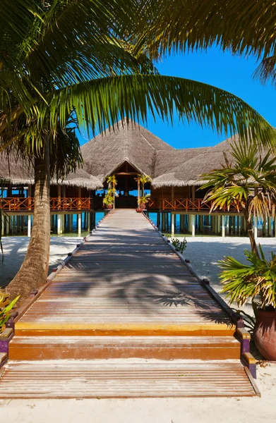 Tropik Maldivler ada Cafe