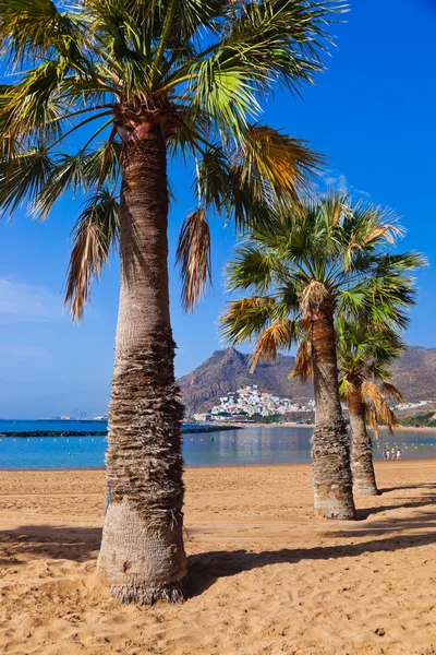 Beach Teresitas in Tenerife - Canary Islands — Stock Photo, Image