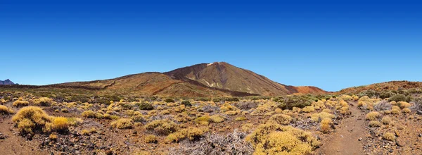 Vulcano Teide nell'isola di Tenerife - Canarie — Foto Stock