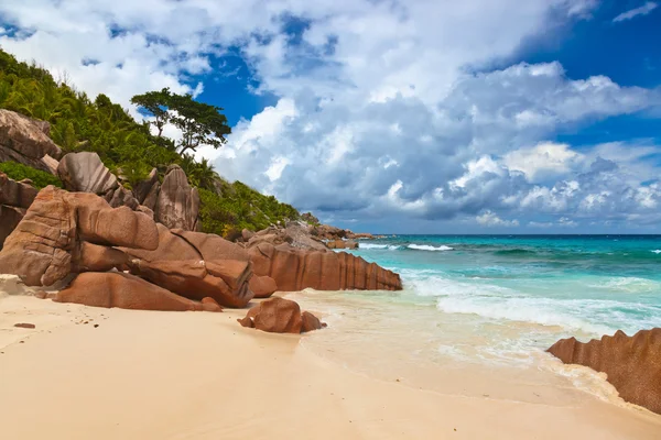 Tropisch strand op de Seychellen — Stockfoto