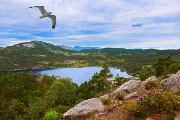 Bergen op de weg naar de Cliff Preikestolen in fjord Lysefjor — Stockfoto