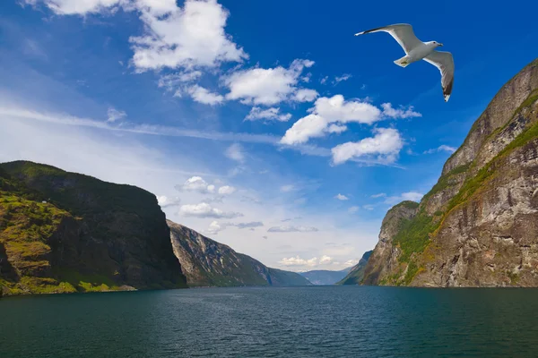 Naeroyfjord od fiord w Norwegii - słynnej, wpisanej na listę UNESCO — Zdjęcie stockowe