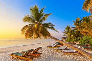 Maldivler plaj sandalye