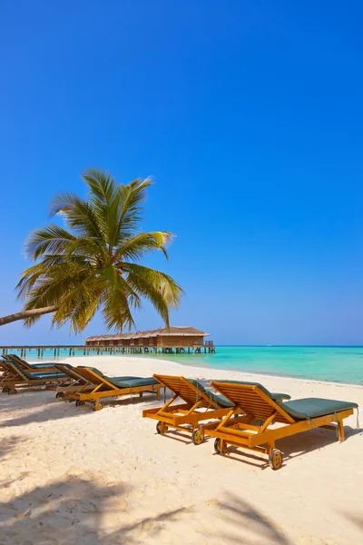 Reposeras en la playa de Maldivas — Foto de Stock