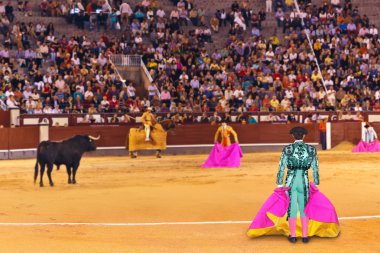 Matador ve boğa güreşi Madrid