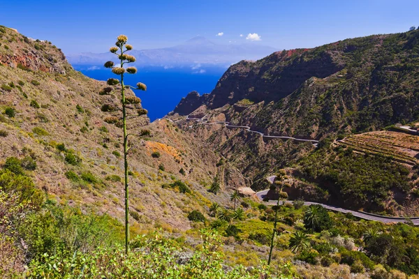 Strada nell'isola di La Gomera - Canarie — Foto Stock