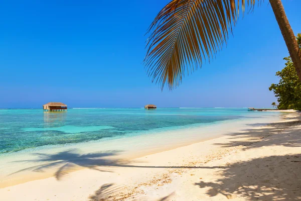 Trópusi Maldív-szigetek sziget — Stock Fotó