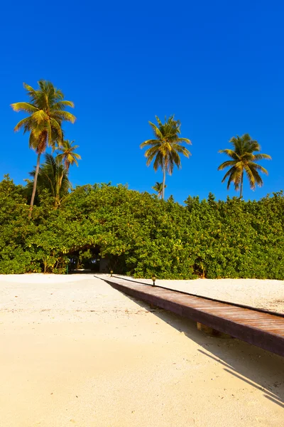 Isla de las Maldivas tropicales — Foto de Stock