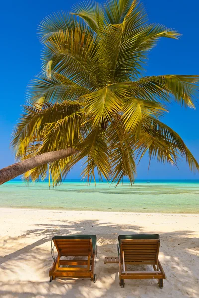 Chaises longues sur la plage des Maldives — Photo