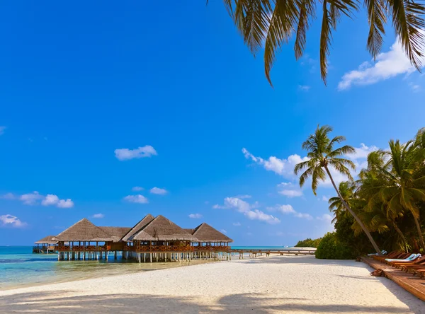 A trópusi Maldív-szigetek sziget Cafe — Stock Fotó