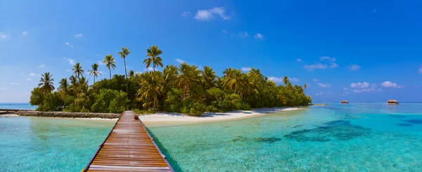 Tropische Insel der Malediven — Stockfoto