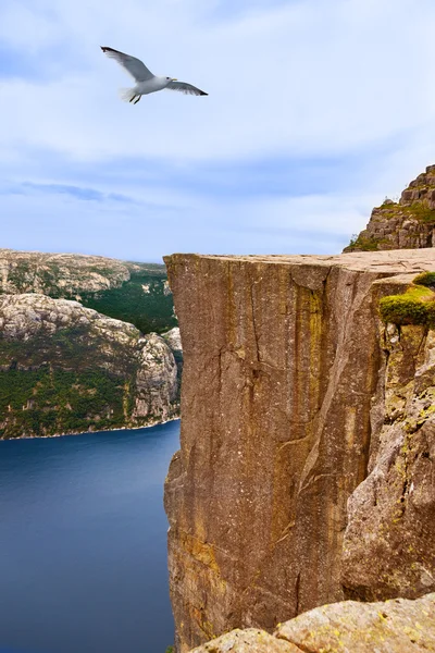 Cliff Preikestolen in fjord Lysefjord - Noorwegen — Stockfoto