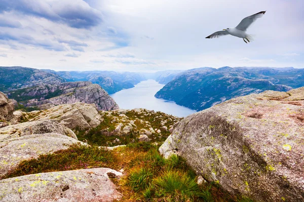 Mountains near the Preachers Pulpit Rock in fjord Lysefjord - No — Stock Photo, Image