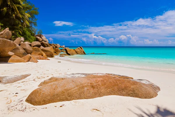 Beach georgette: praslin island - Seychelle-szigetek — Stock Fotó