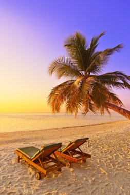 Maldivler plajda şezlong