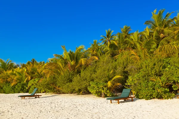 Leżaki na plaży Malediwy — Zdjęcie stockowe