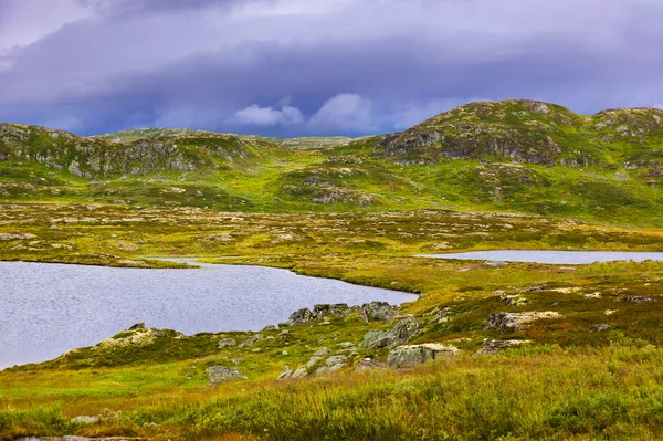 Fluss in der Region Buskerud in Norwegen — Stockfoto