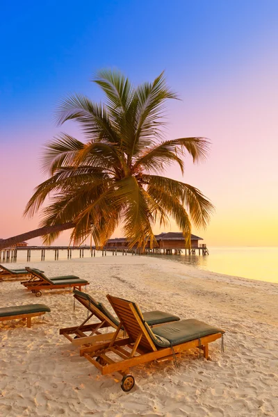 Chaises longues sur la plage des Maldives — Photo