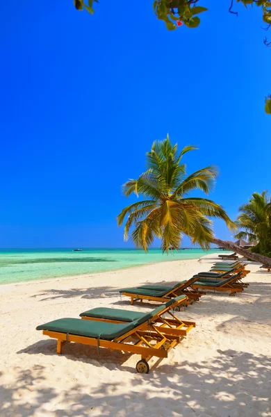 Мальдіви пляж — стокове фото