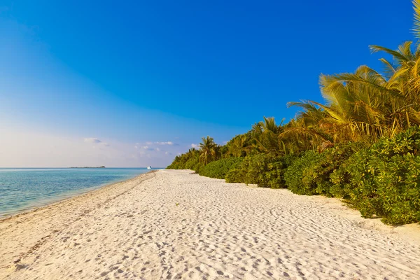 Playa de las Maldivas — Foto de Stock