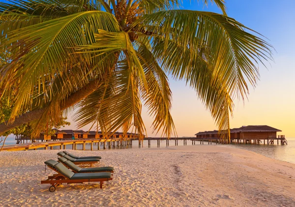 Liegestühle am Strand der Malediven — Stockfoto