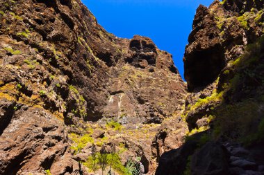 tenerife - Kanarya, ünlü Kanyon masca
