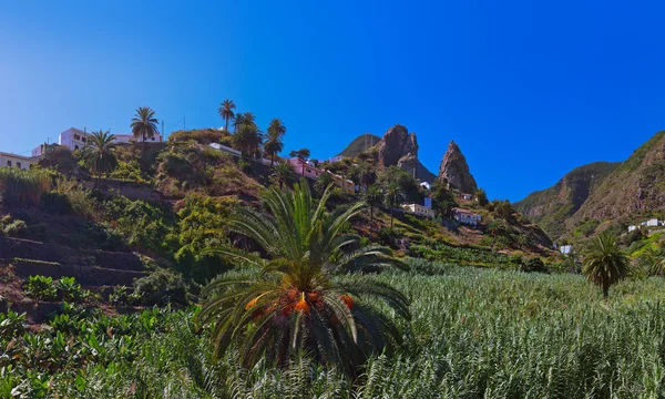 la gomera Island - Kanarya Hermigua Vadisi