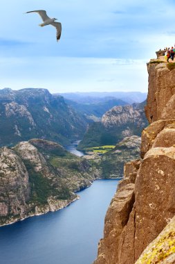 Cliff Preikestolen fiyort Lysefjord - Norveç içinde