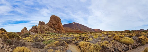 Tenerife adasında - Kanarya teide yanardağı — Stok fotoğraf