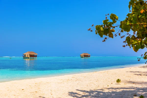 Isla de las Maldivas tropicales — Foto de Stock