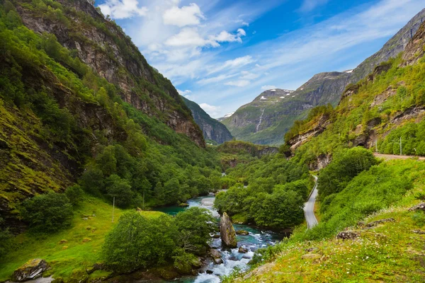 Flamme en Norvège — Photo