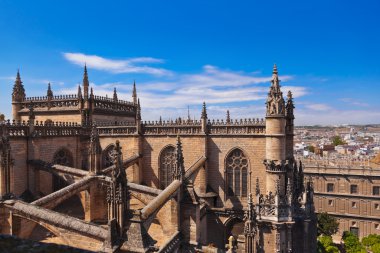 İspanya sevilla Cathedral la giralda