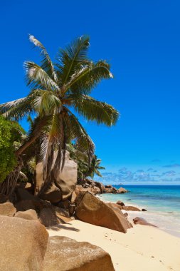 Seyşel Adaları, tropik sahil