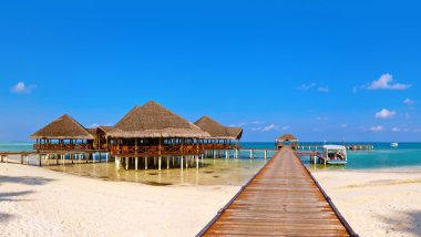 Tropik Maldivler Adası