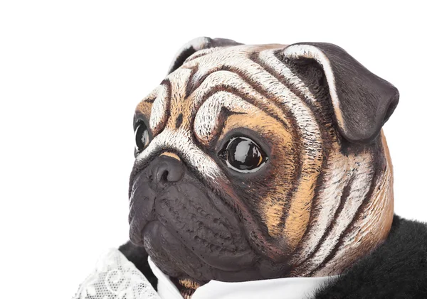 Cão de pug de brinquedo em traje de mordomo — Fotografia de Stock