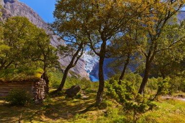 eski evin yakınına pik buzul - Norveç