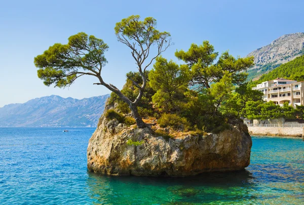 Isla y árboles en Córdoba, Croacia — Foto de Stock