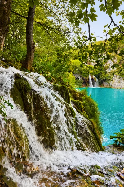 Plitvicei-tavak, Horvátország — Stock Fotó