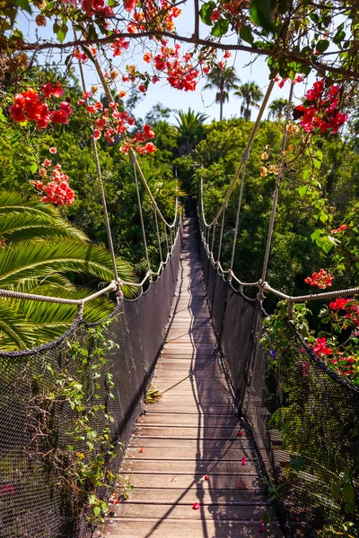 Footpath in jungle - Tenerife Canary islands — Stock Photo, Image