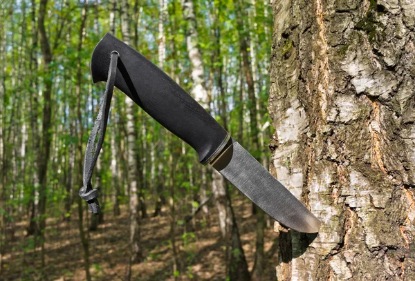 Cuchillo clavado en un árbol — Foto de Stock